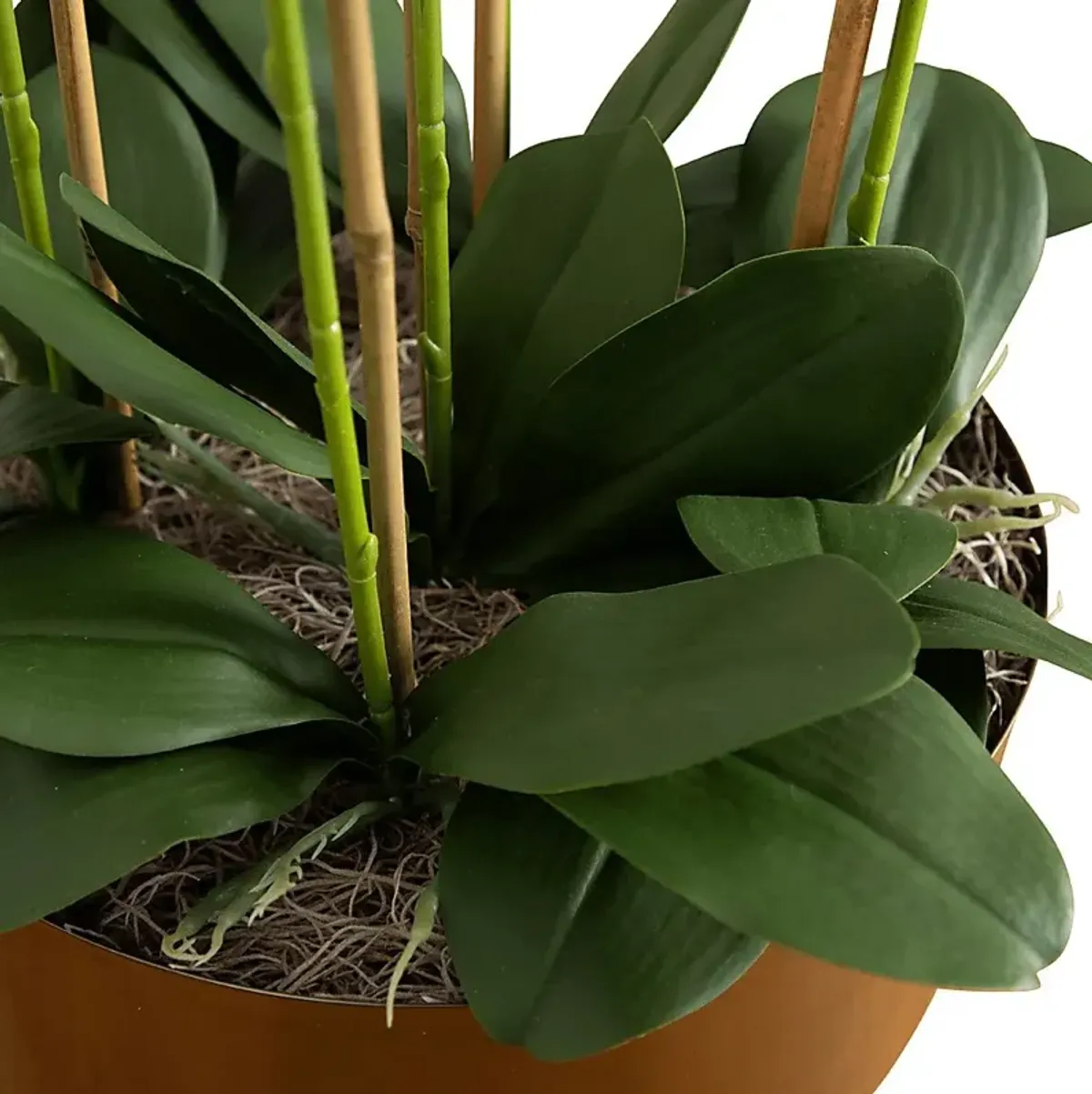 Balsinger I White Silk Floral