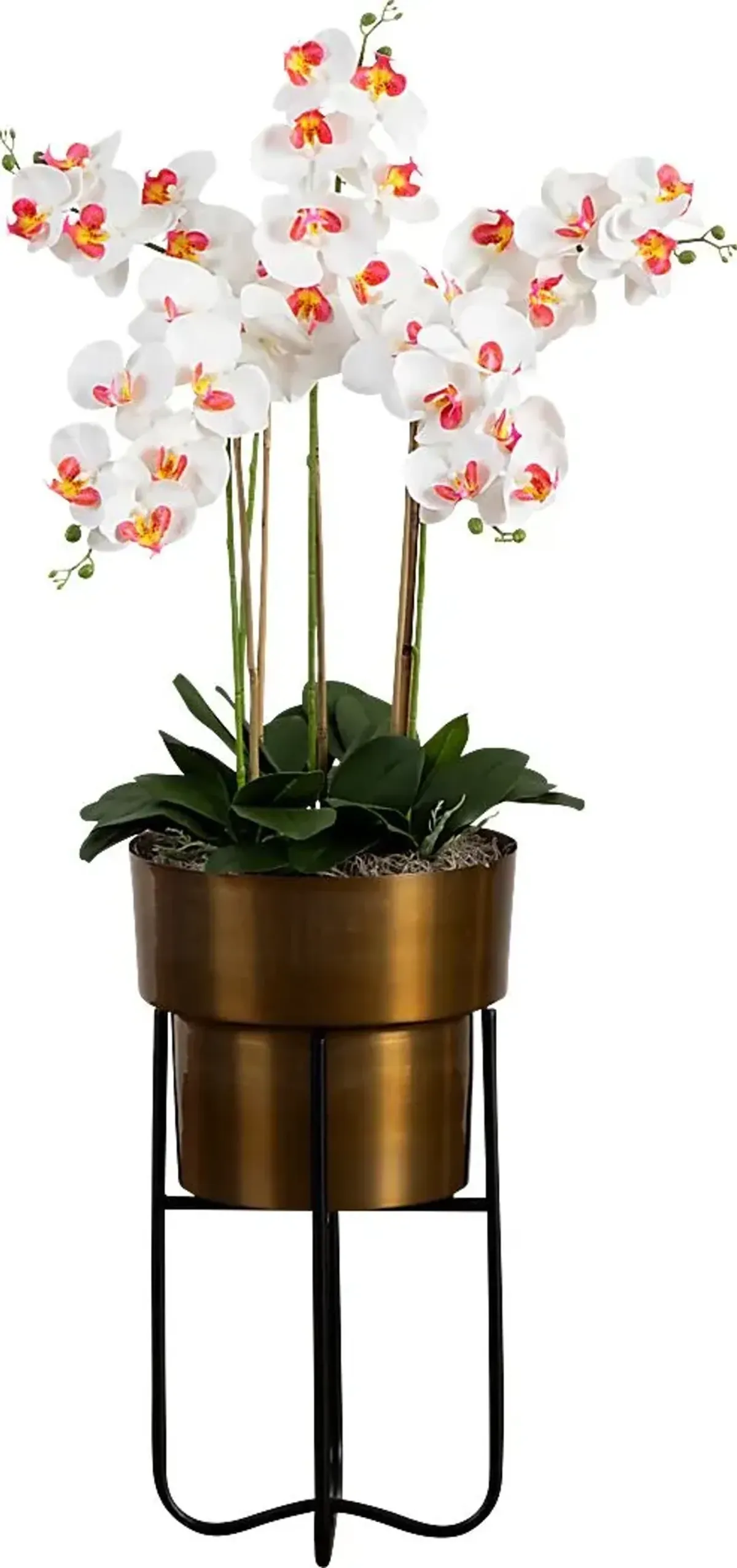 Balsinger I White Silk Floral