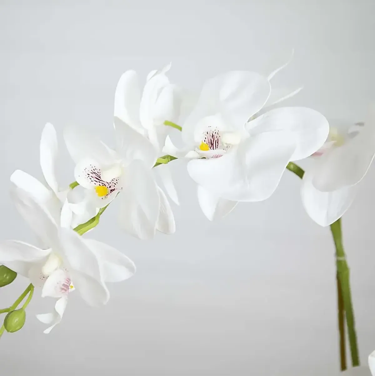 Bierer White Silk Floral