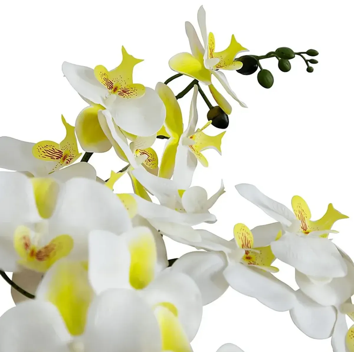 Connellsville White Silk Floral