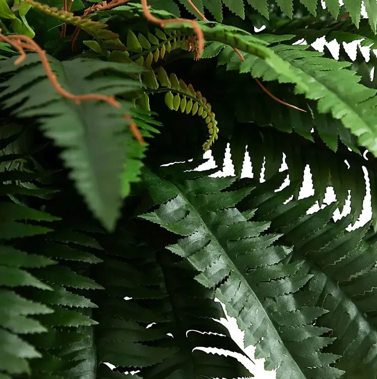 Hanabeck I Green Silk Plant