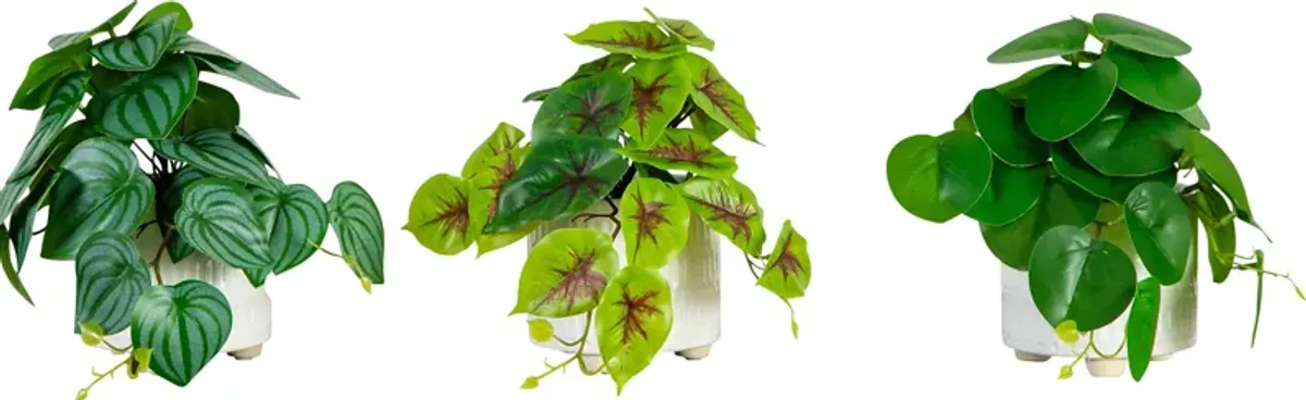 Kondrla Green Silk Plant, Set of 3