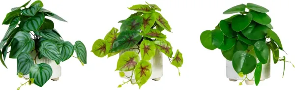 Kondrla Green Silk Plant, Set of 3