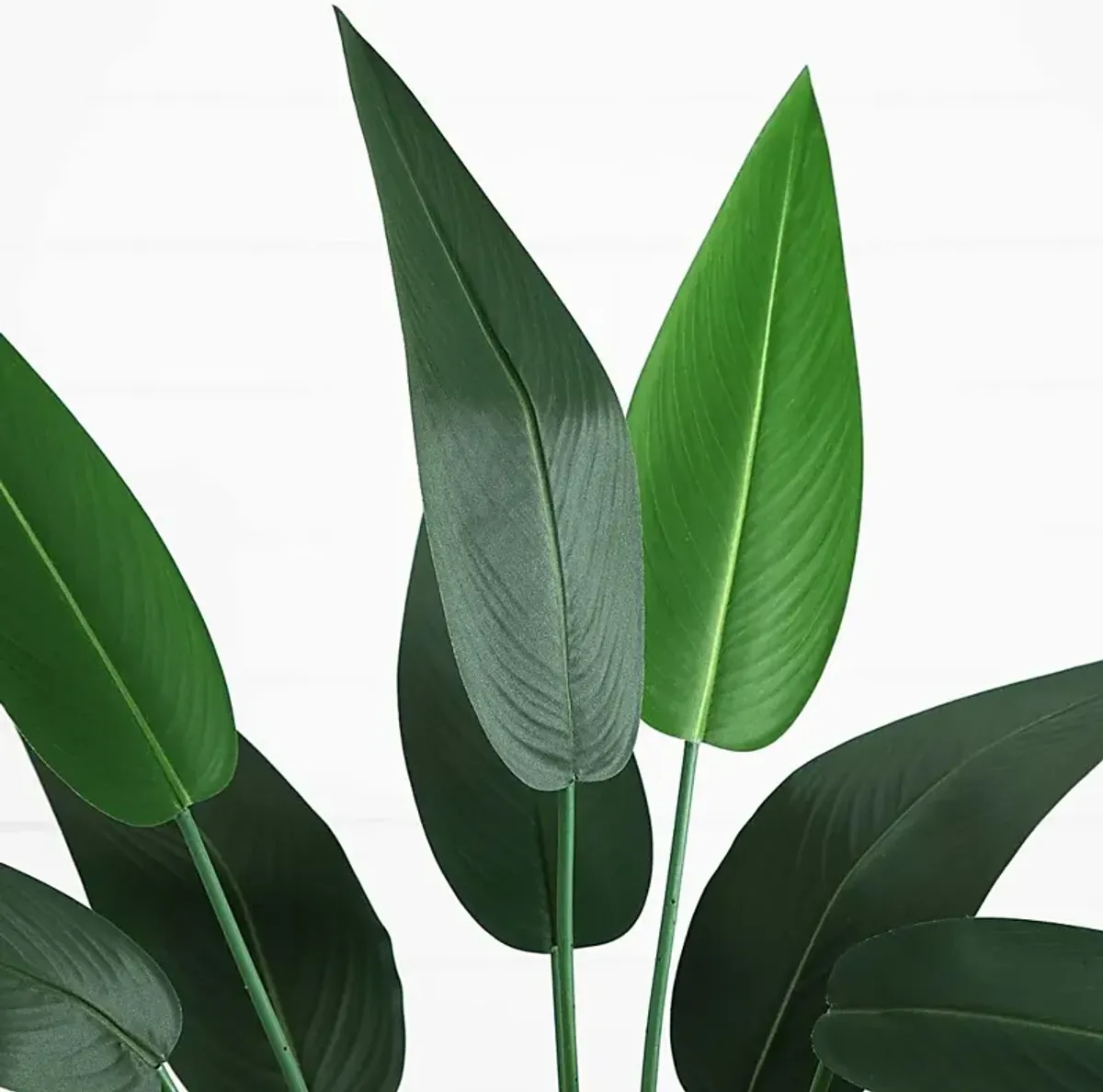 Malenock II Green Silk Plant