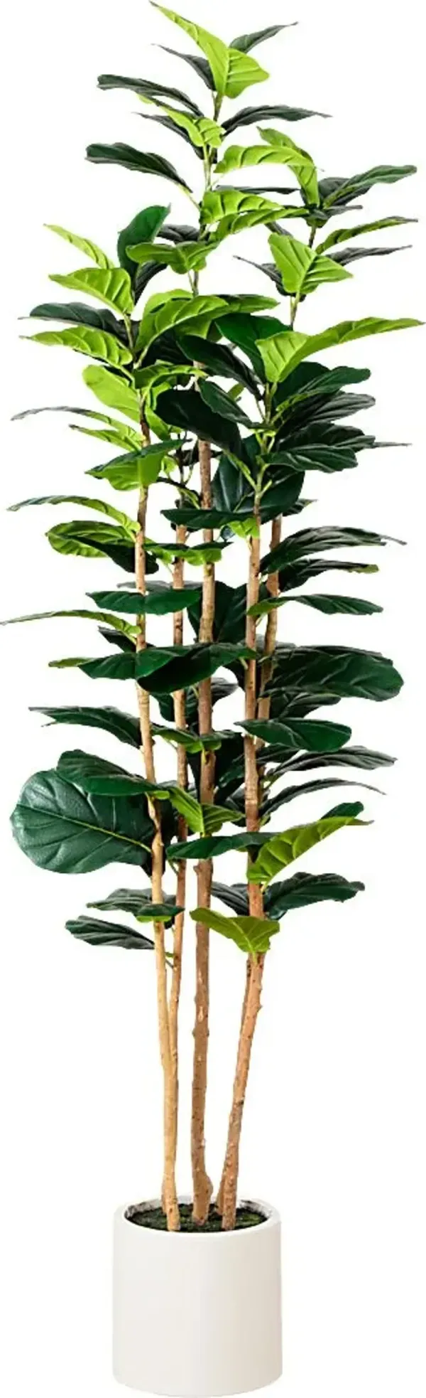 Mallberry IV Green Silk Plant