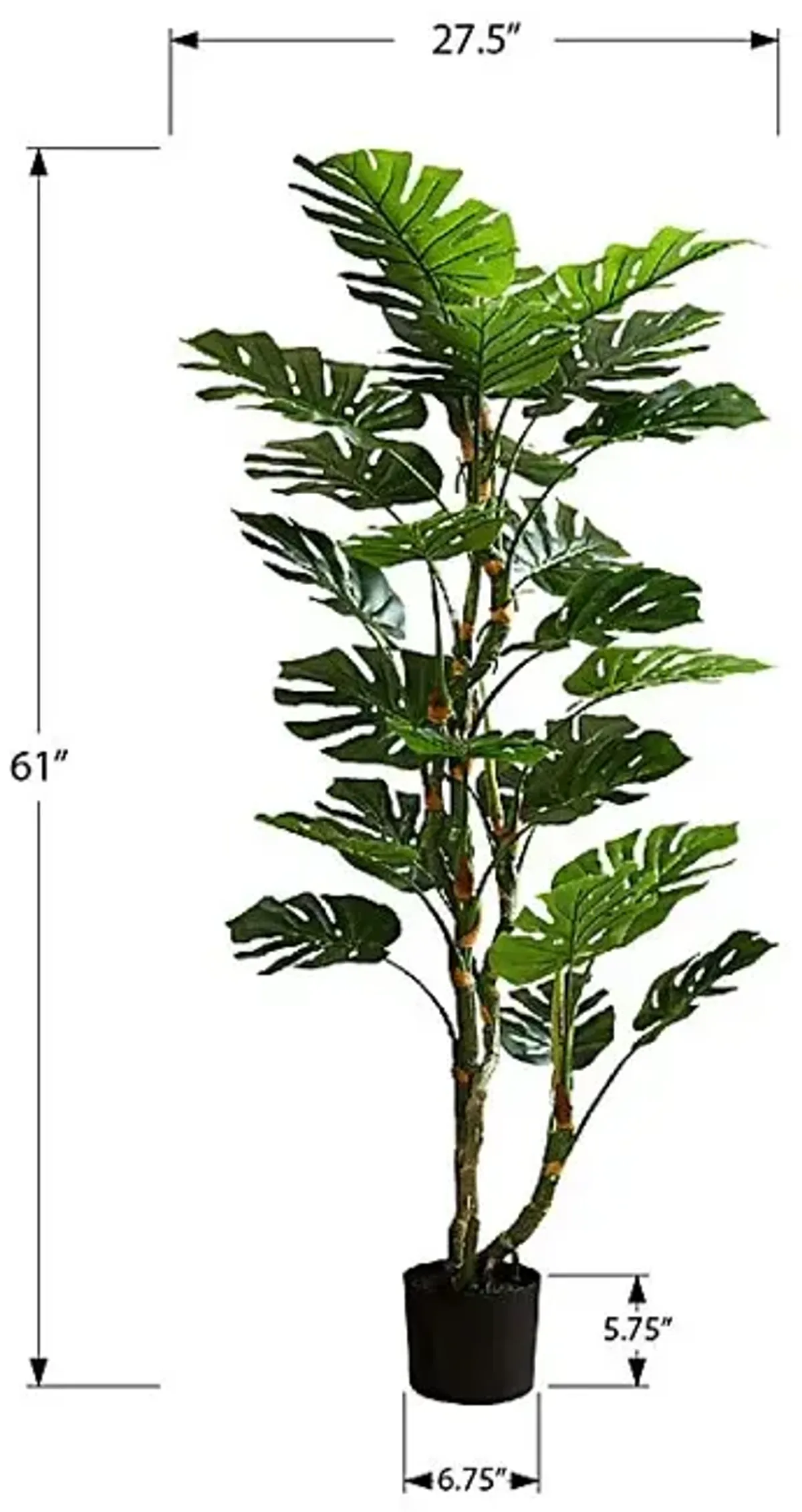 Casron Green Silk Plant