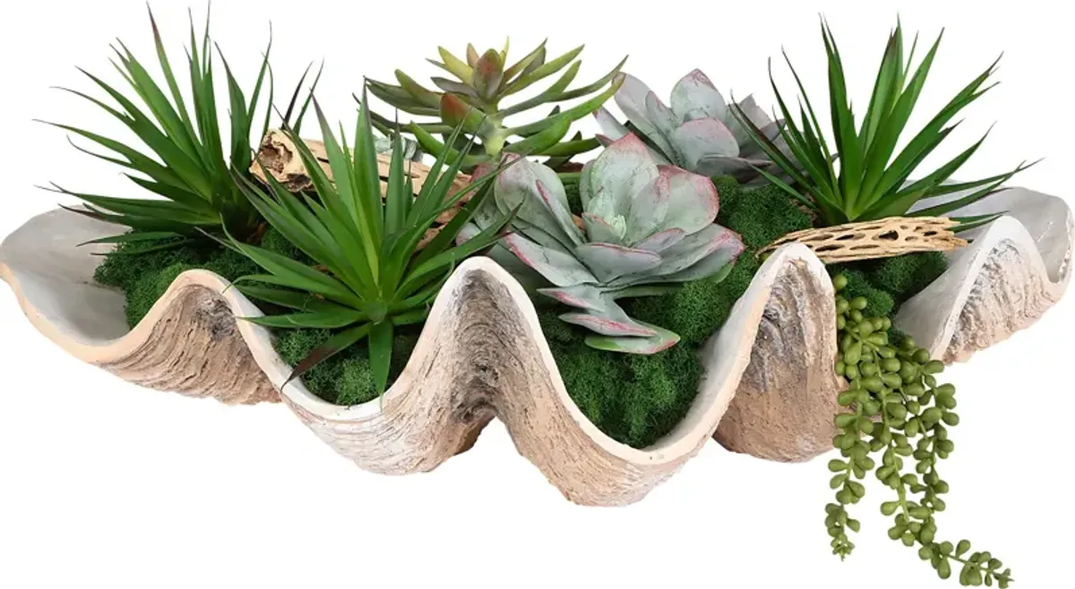 Nalula Green Silk Plant