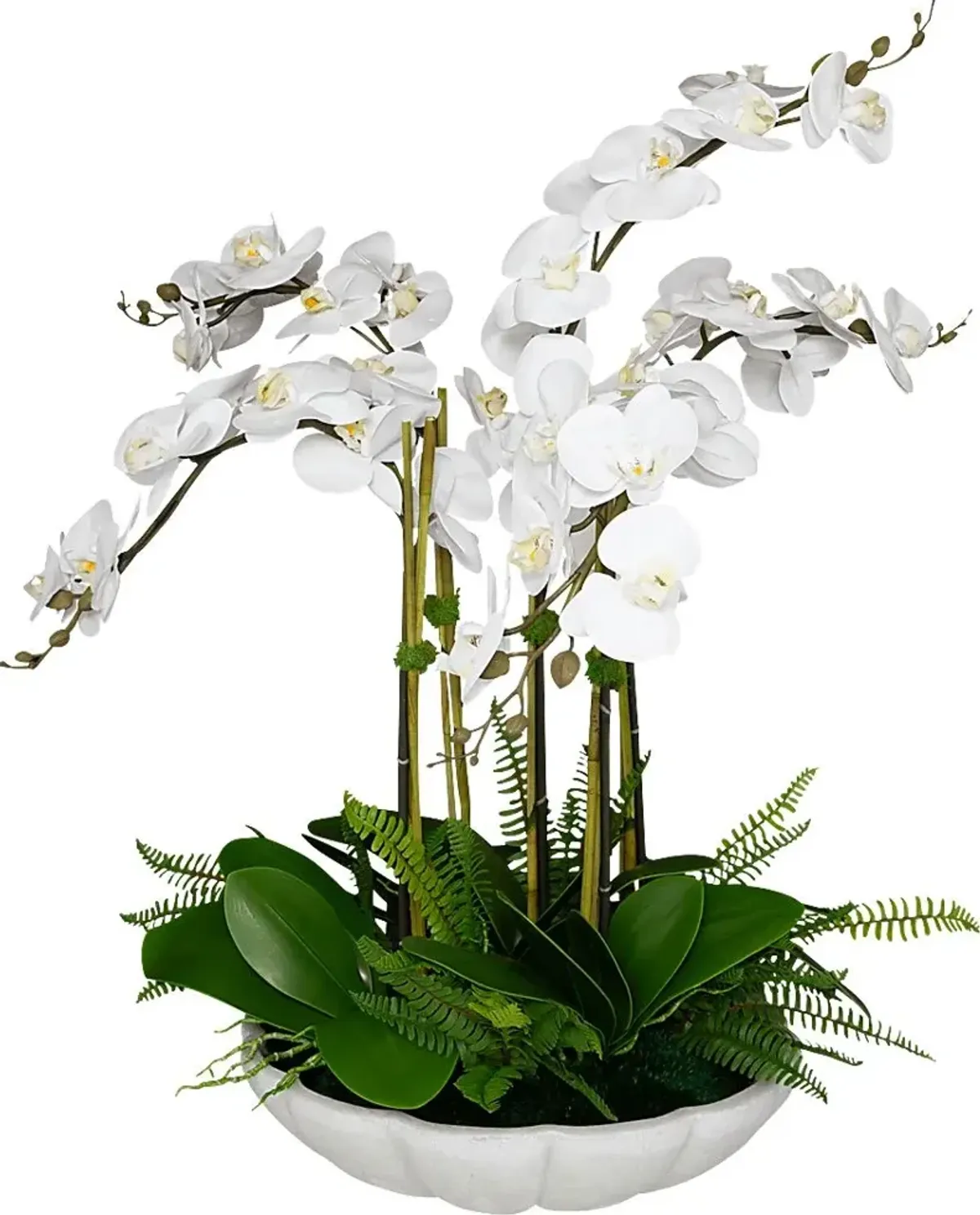 Delina White Silk Plant