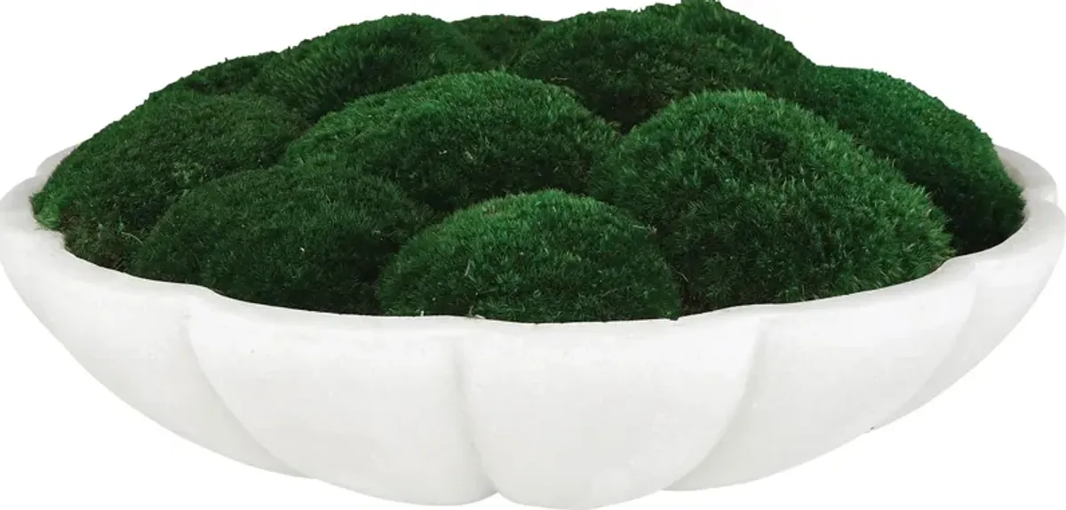 Alrine Green Silk Plant