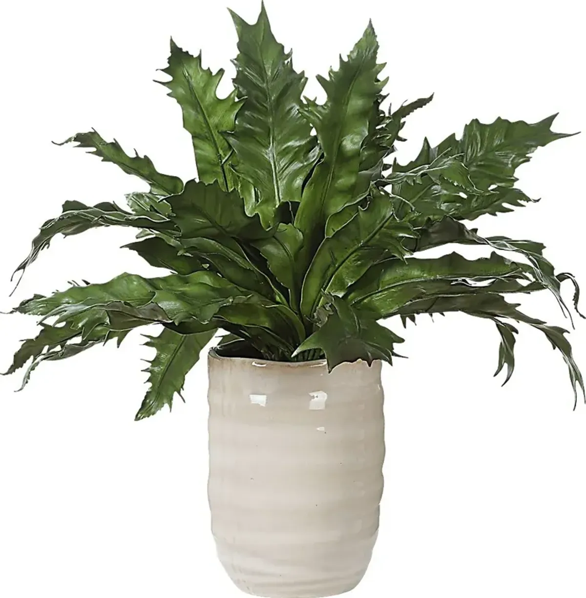 Havane Tan Silk Plant