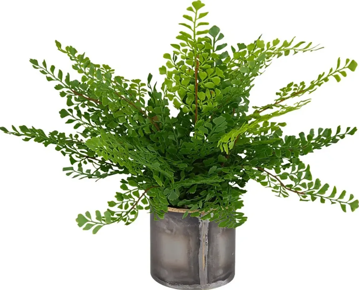 Daski Green Silk Plant