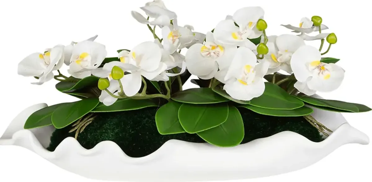 Jalaf White Silk Floral