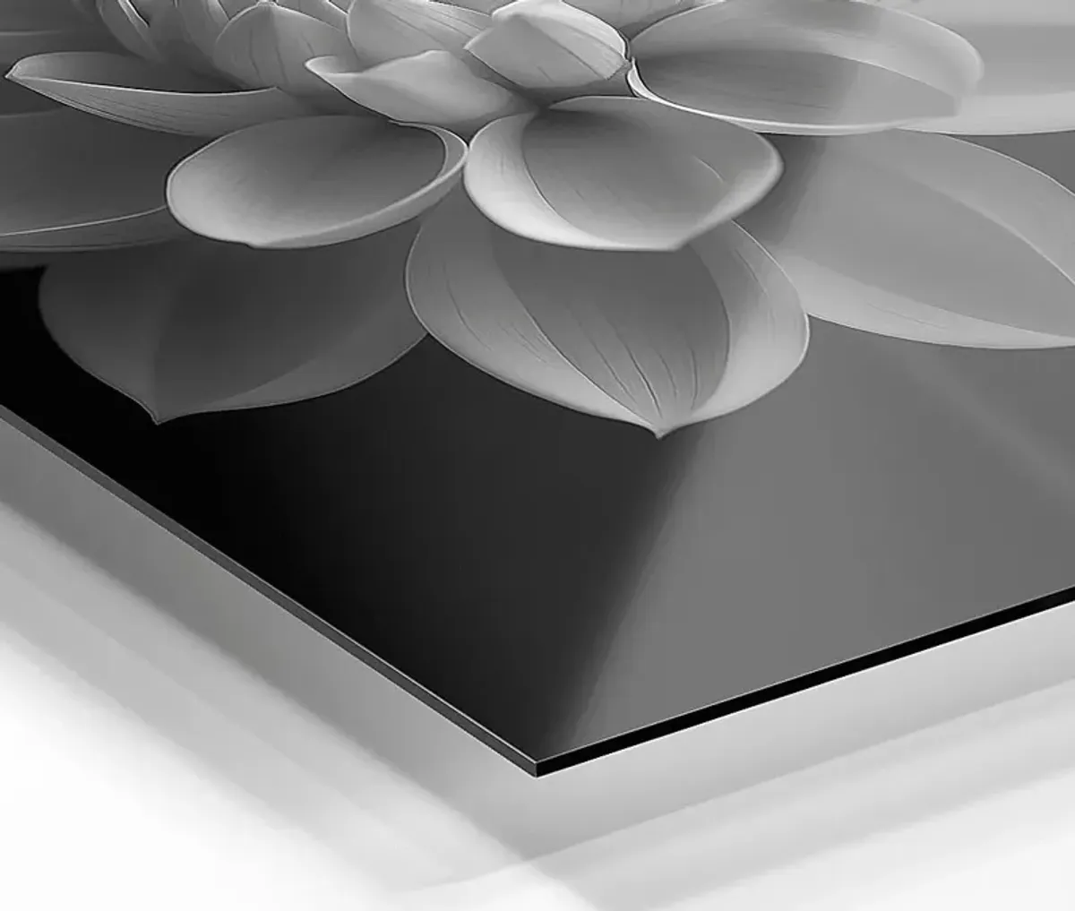 Faniry I Black Artwork