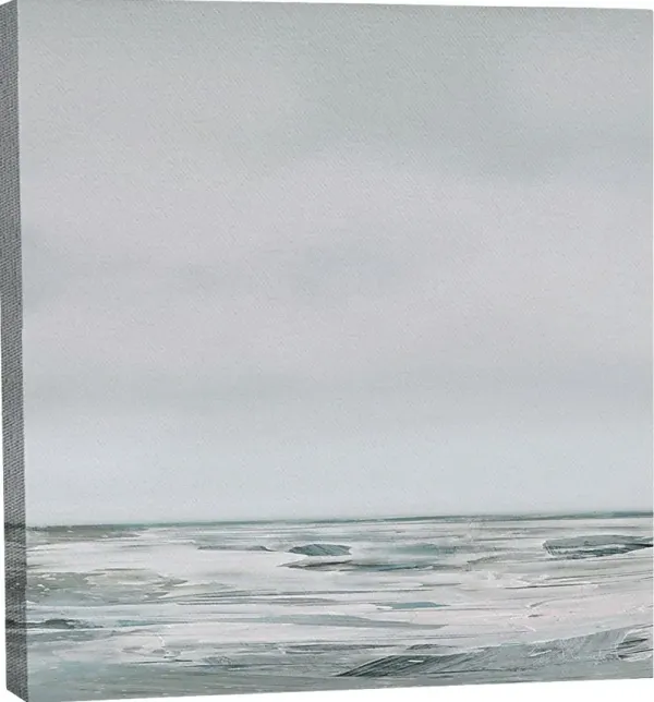 Ademetus Gray Canvas Wall Art