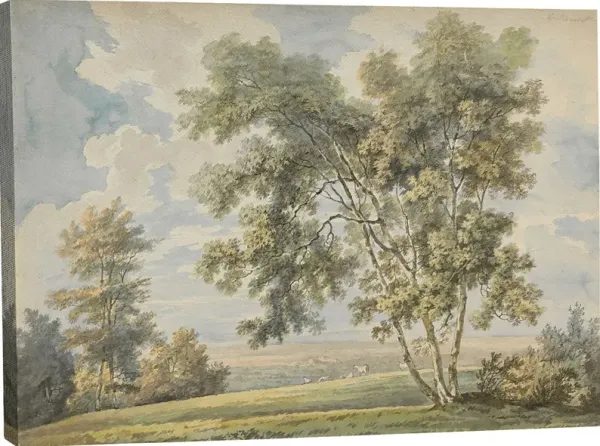 Chaucier Green Canvas Wall Art