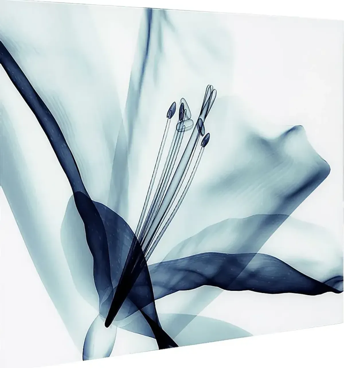 Zafarano Blue Artwork