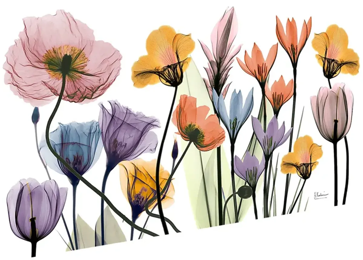 Bencomo Multi Artwork