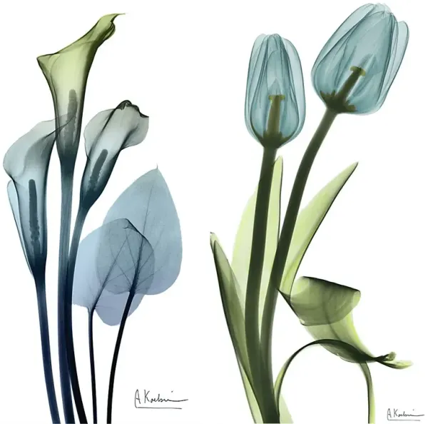 Bowra Blue Artwork, Set of 2