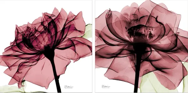 Chamizal Pink Artwork, Set of 2