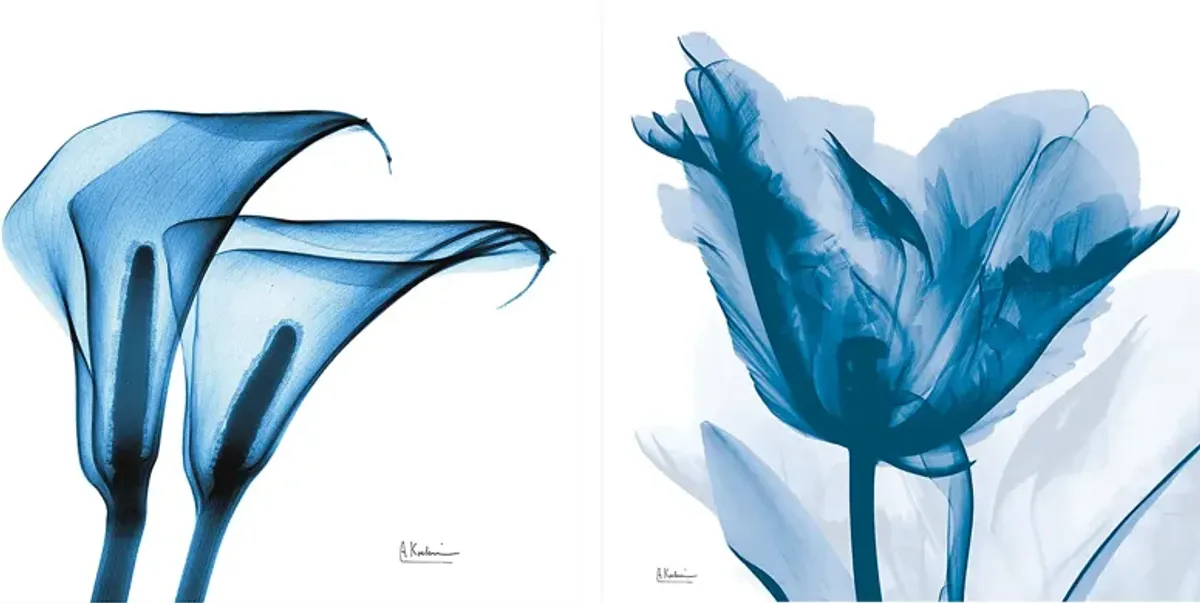 Curnutt Blue Artwork, Set of 2