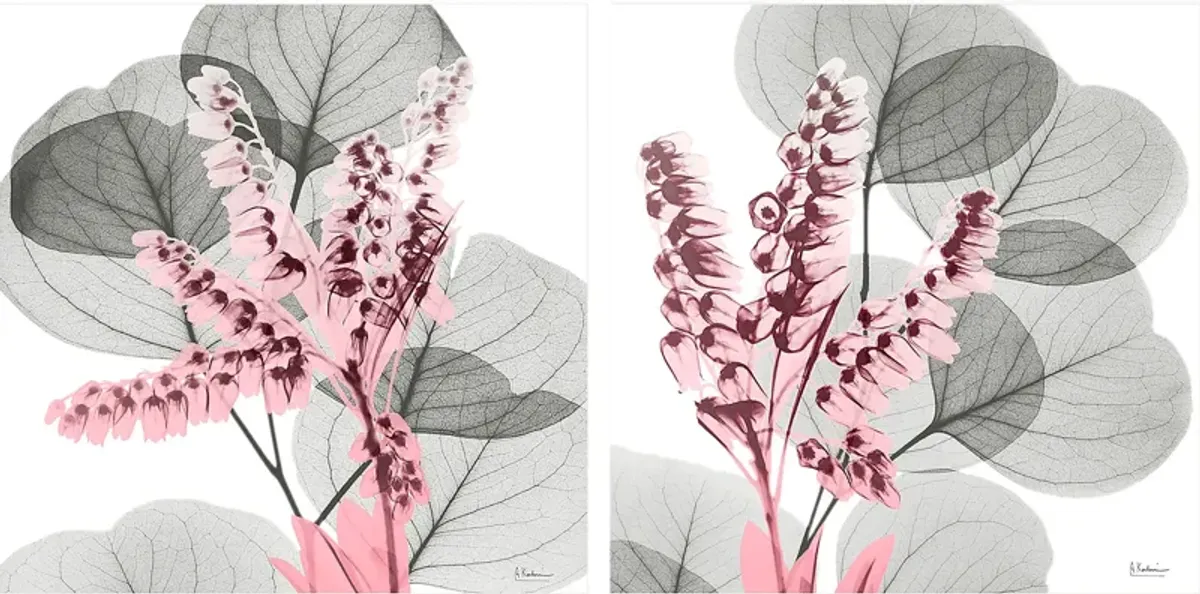 Dormilon Gray Artwork, Set of 2