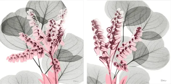 Dormilon Gray Artwork, Set of 2