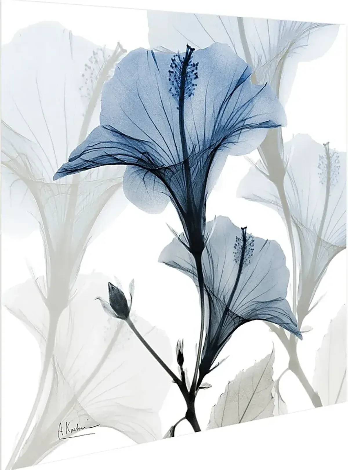Phenakite Blue Artwork