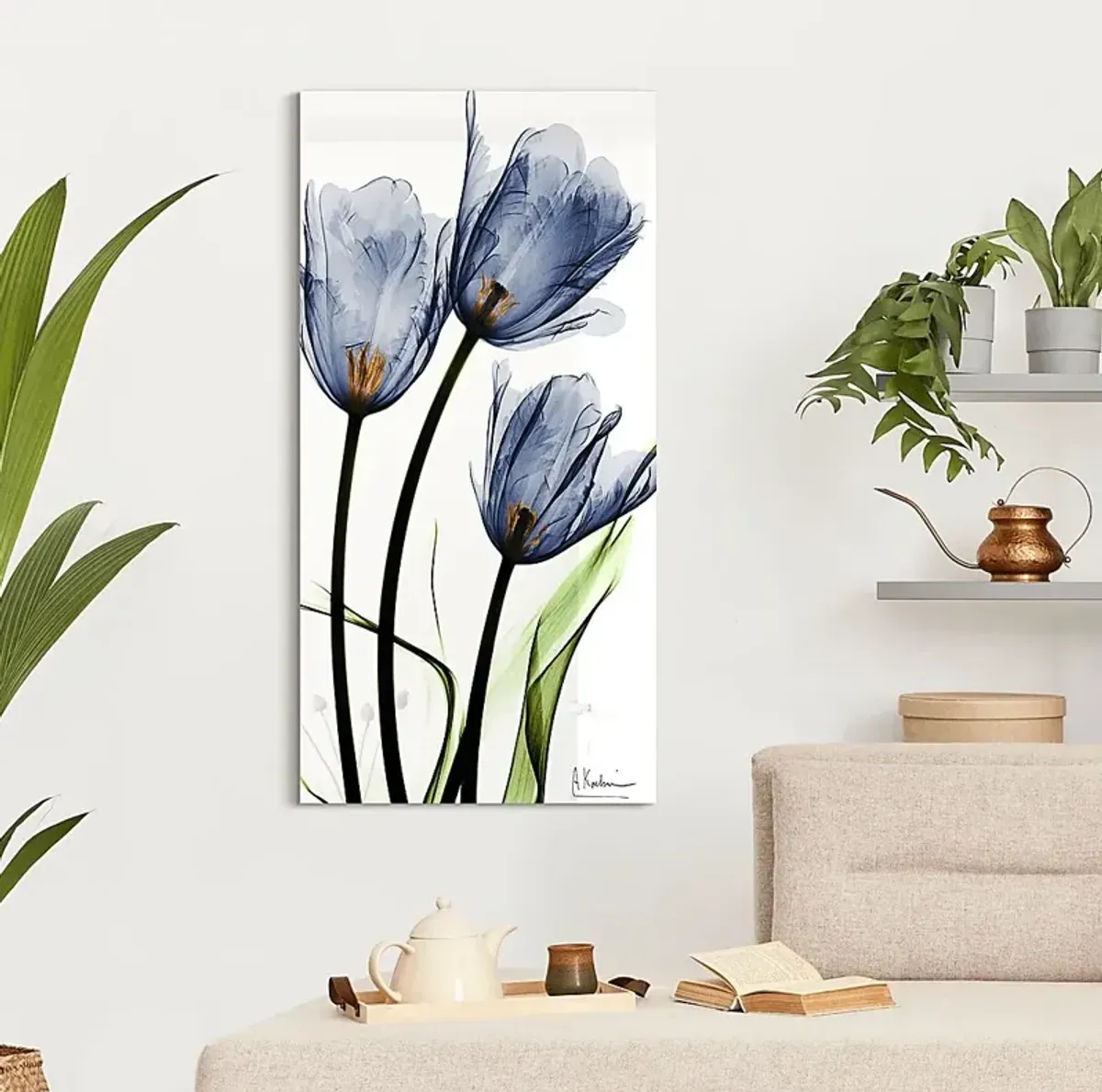 Picuris Blue Artwork