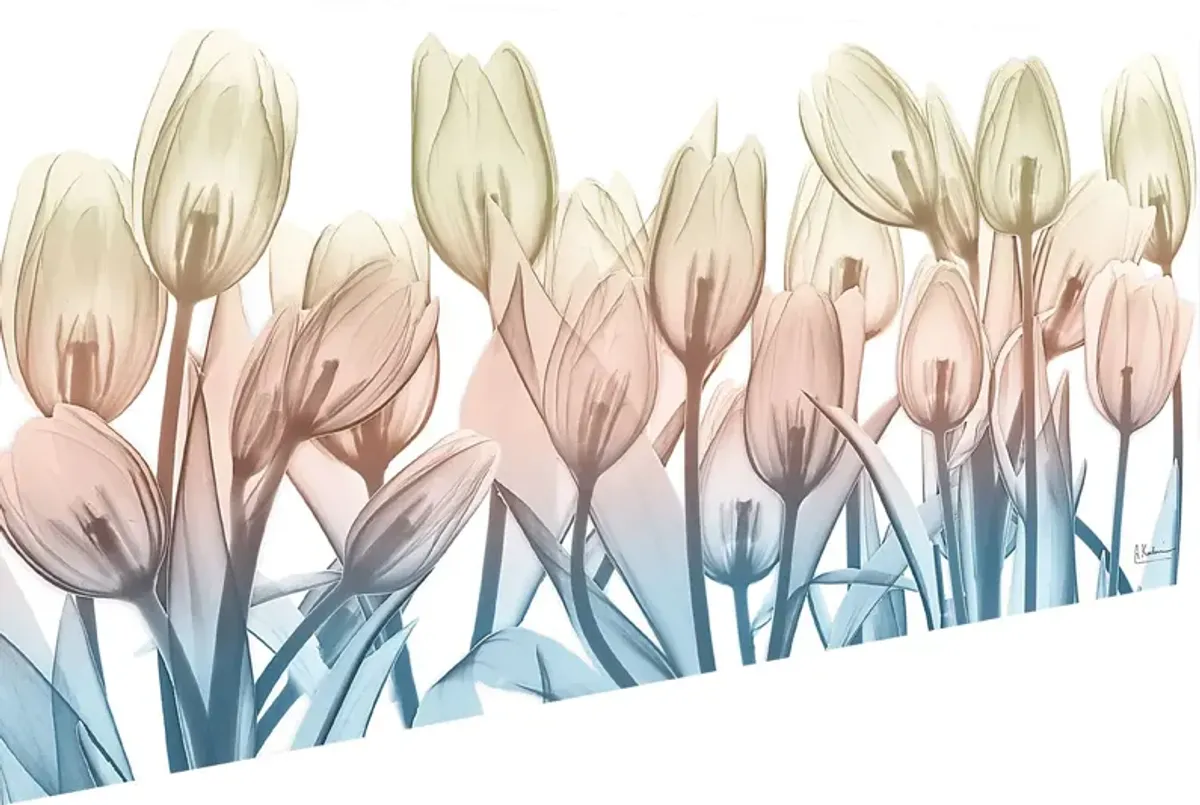 Rexview Blue Artwork