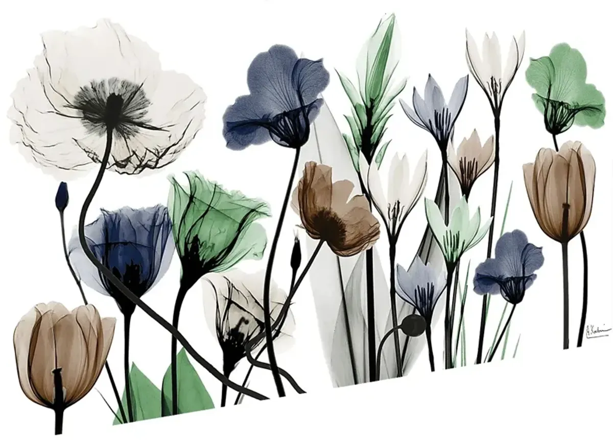 Rillito Multi Artwork