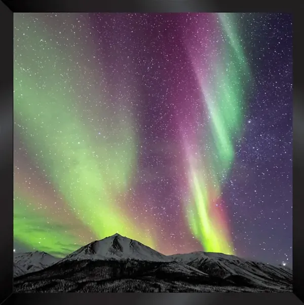 Diavolo Multi Framed Wooden Wall Art