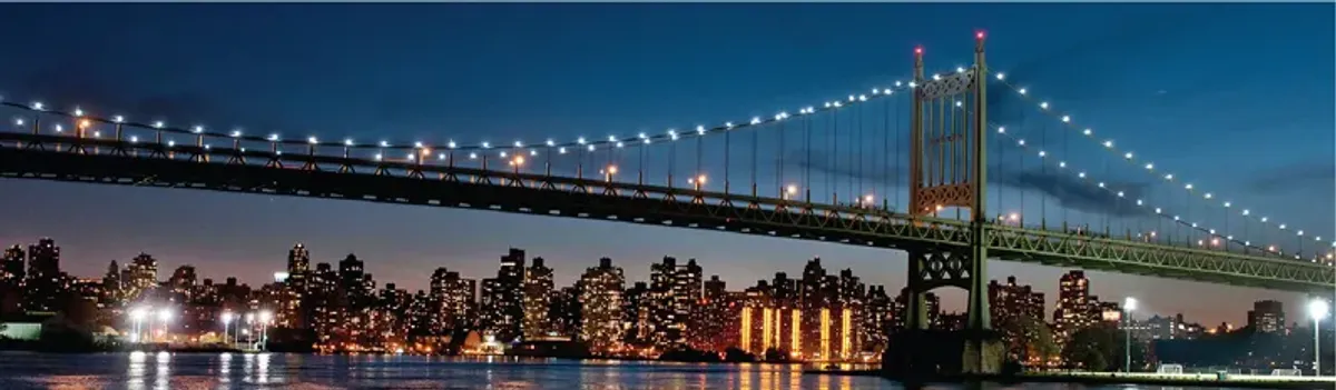 Yankee Stadium Views Multi Artwork