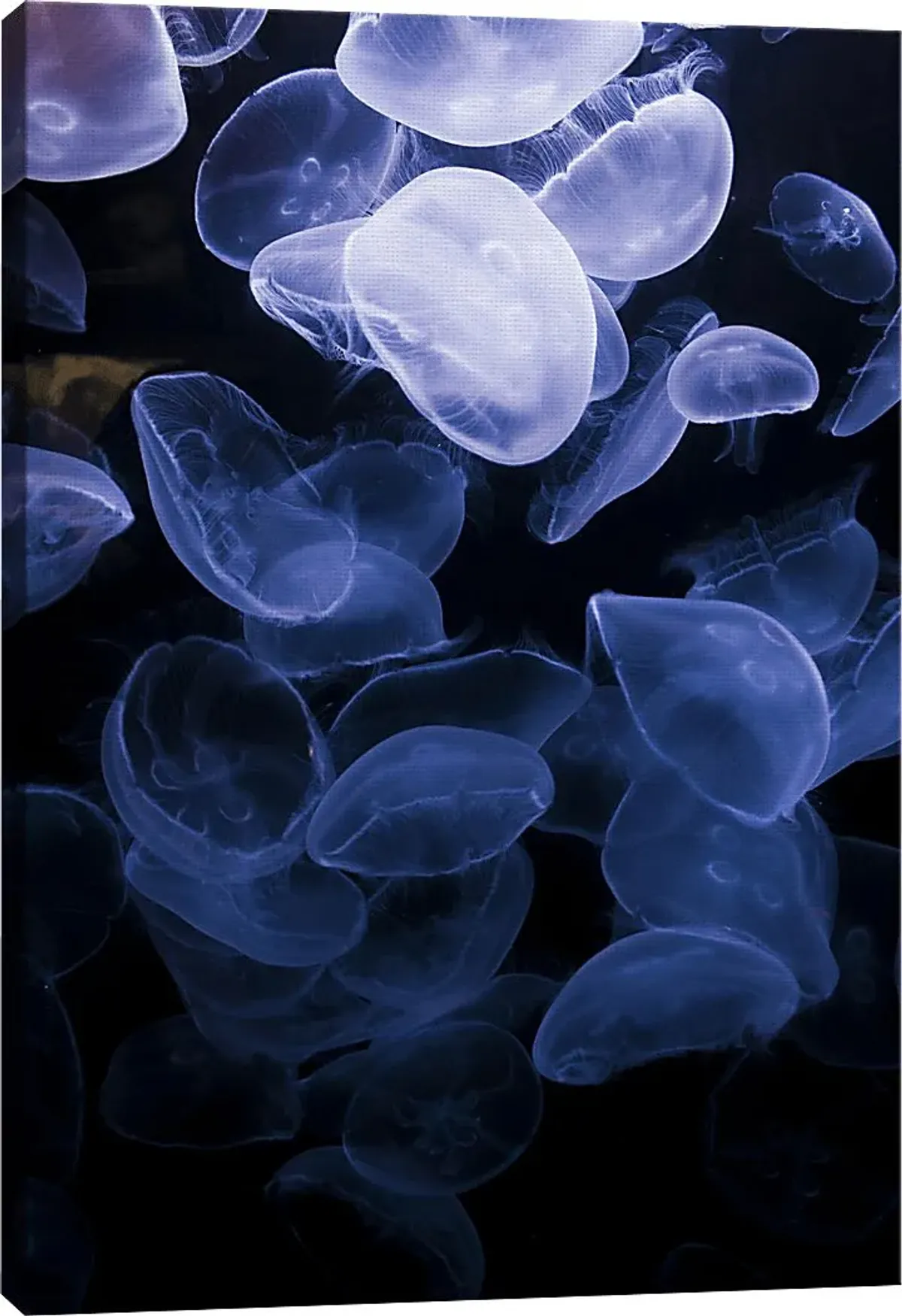 How To Flow Multi Artwork