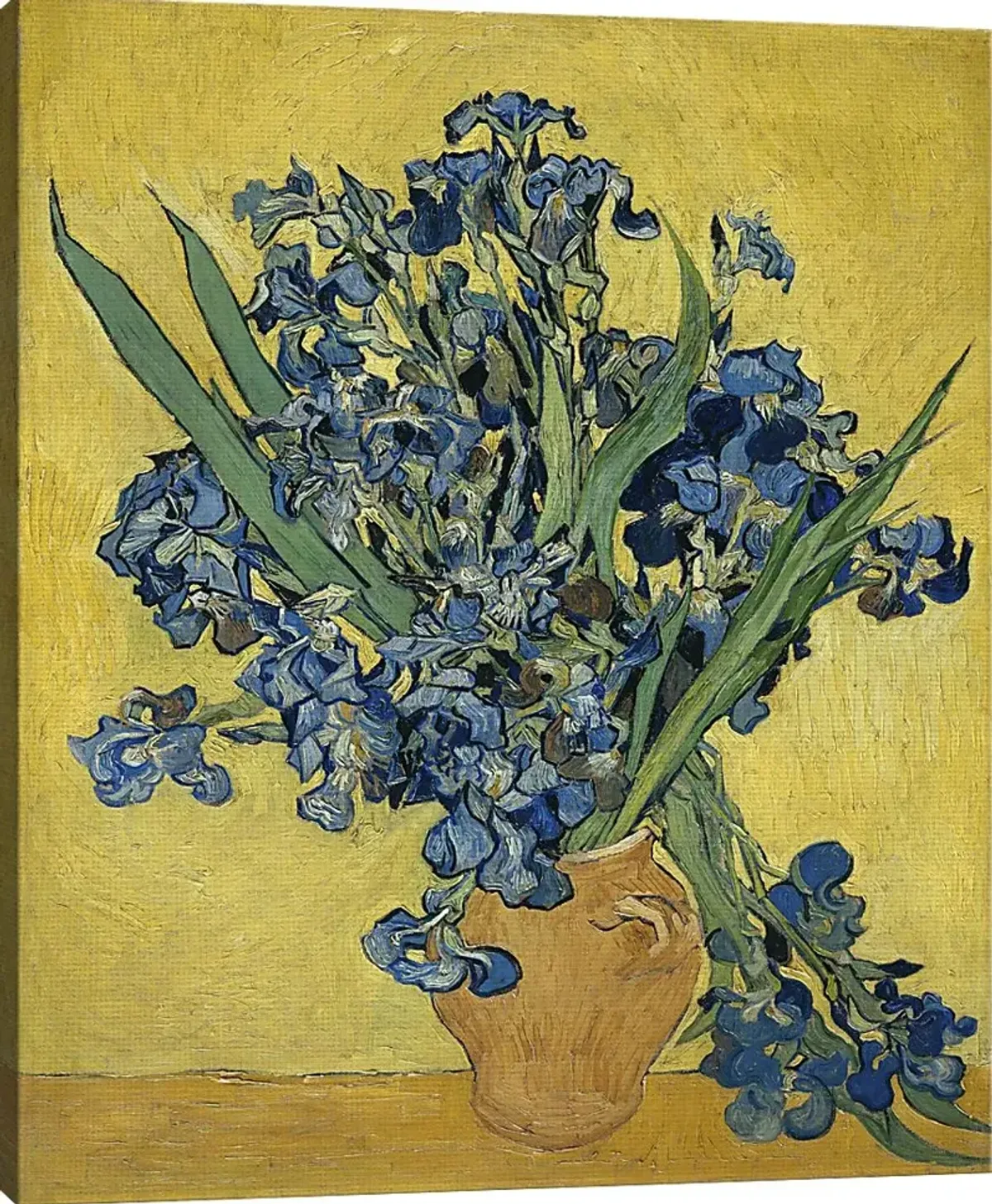 Bold Irises Multi Artwork