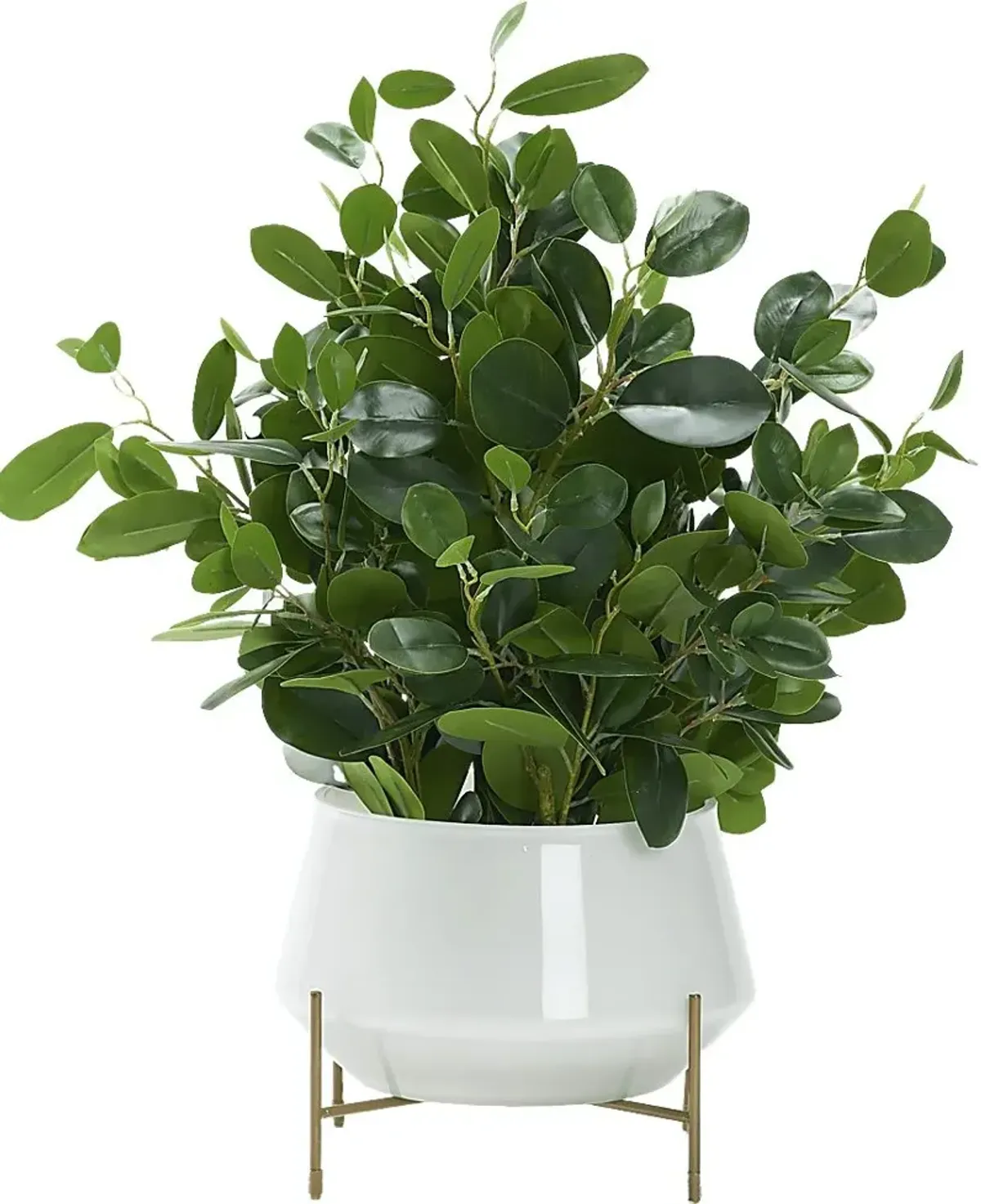 Boyar White Ficus Silk Plant