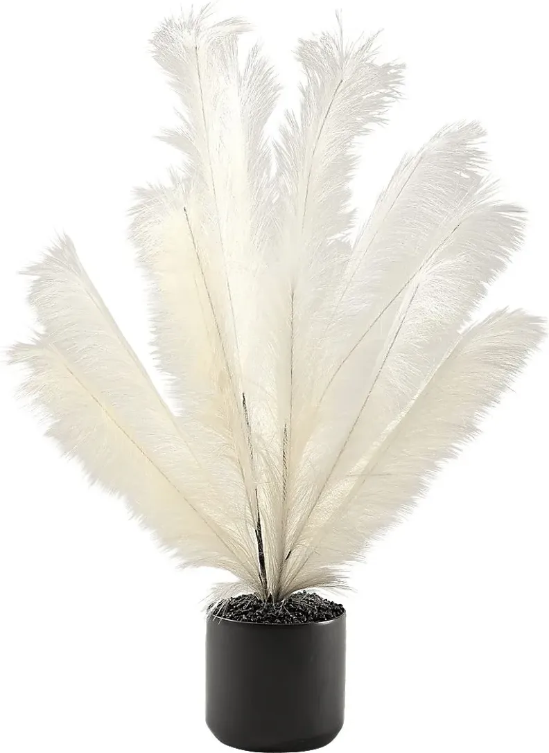 Senasac Black Plume Feathers
