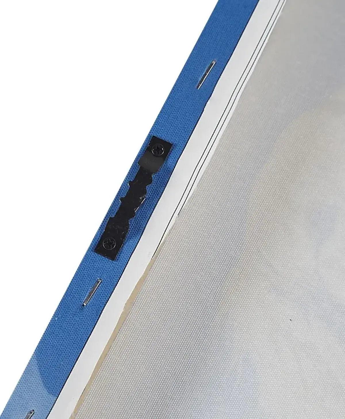 Retriever Playing Blue Wall Decor