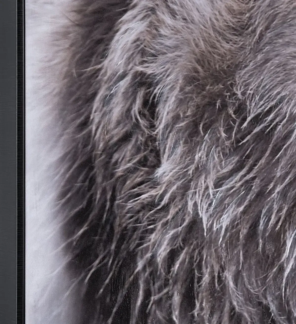 Cantrice Black Artwork