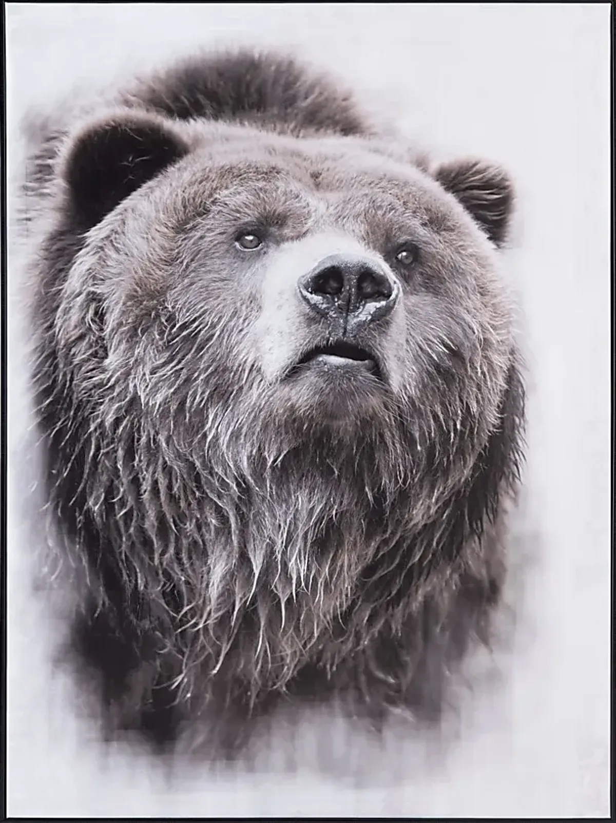 Cantrice Black Artwork