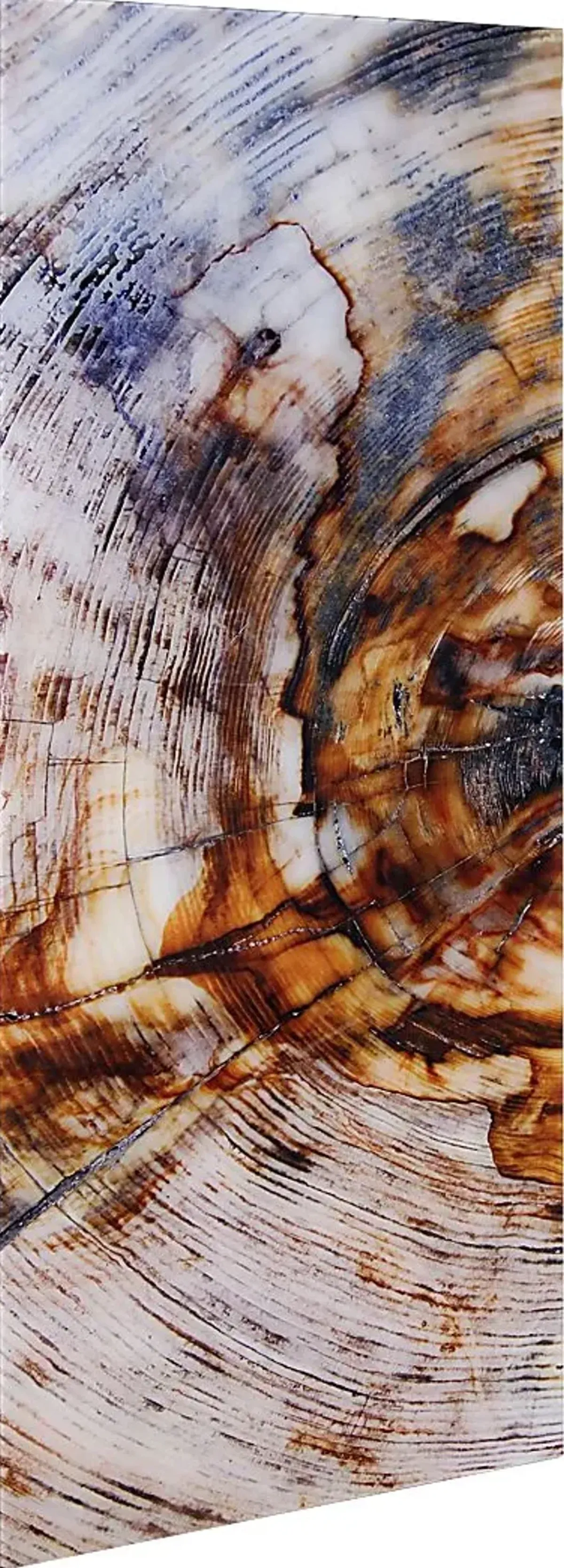Obeche I Multi Artwork