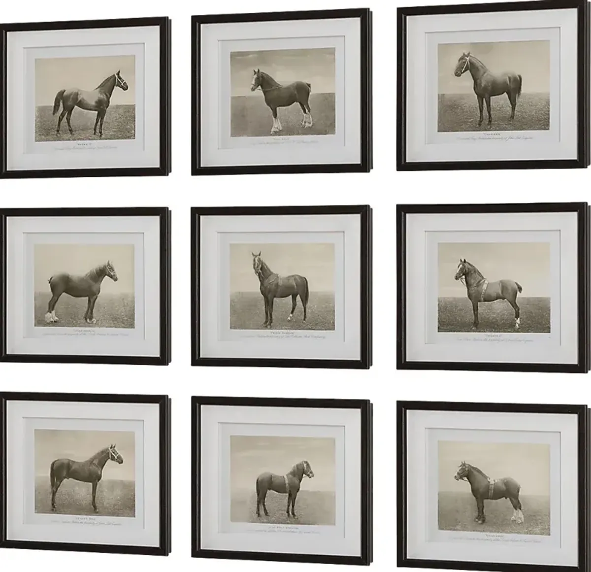 Creot Brown Artwork, Set of 9