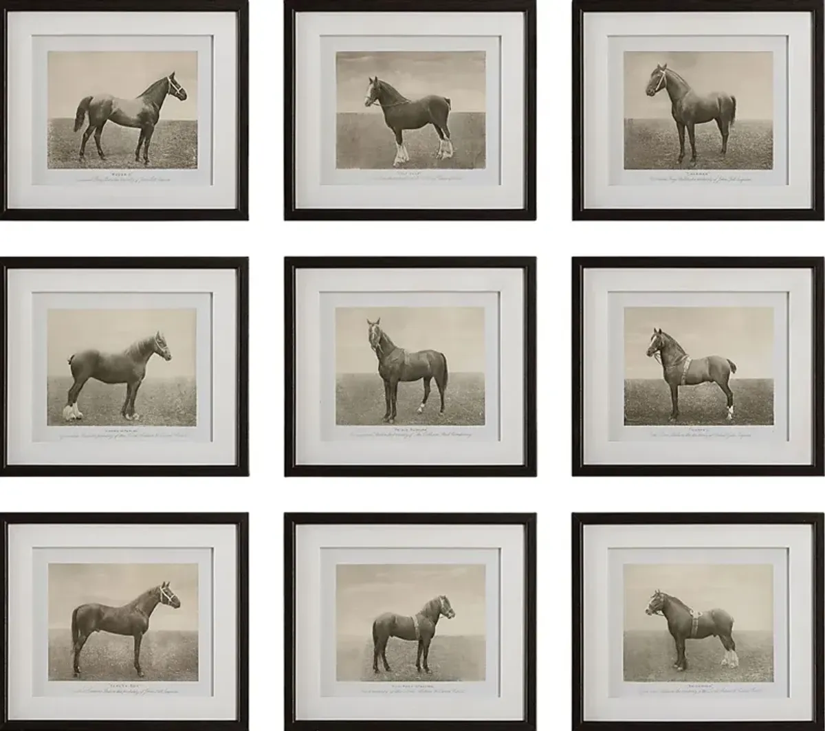 Creot Brown Artwork, Set of 9