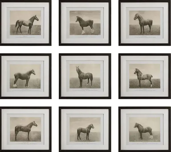 Creot Brown Artwork, Set of 9