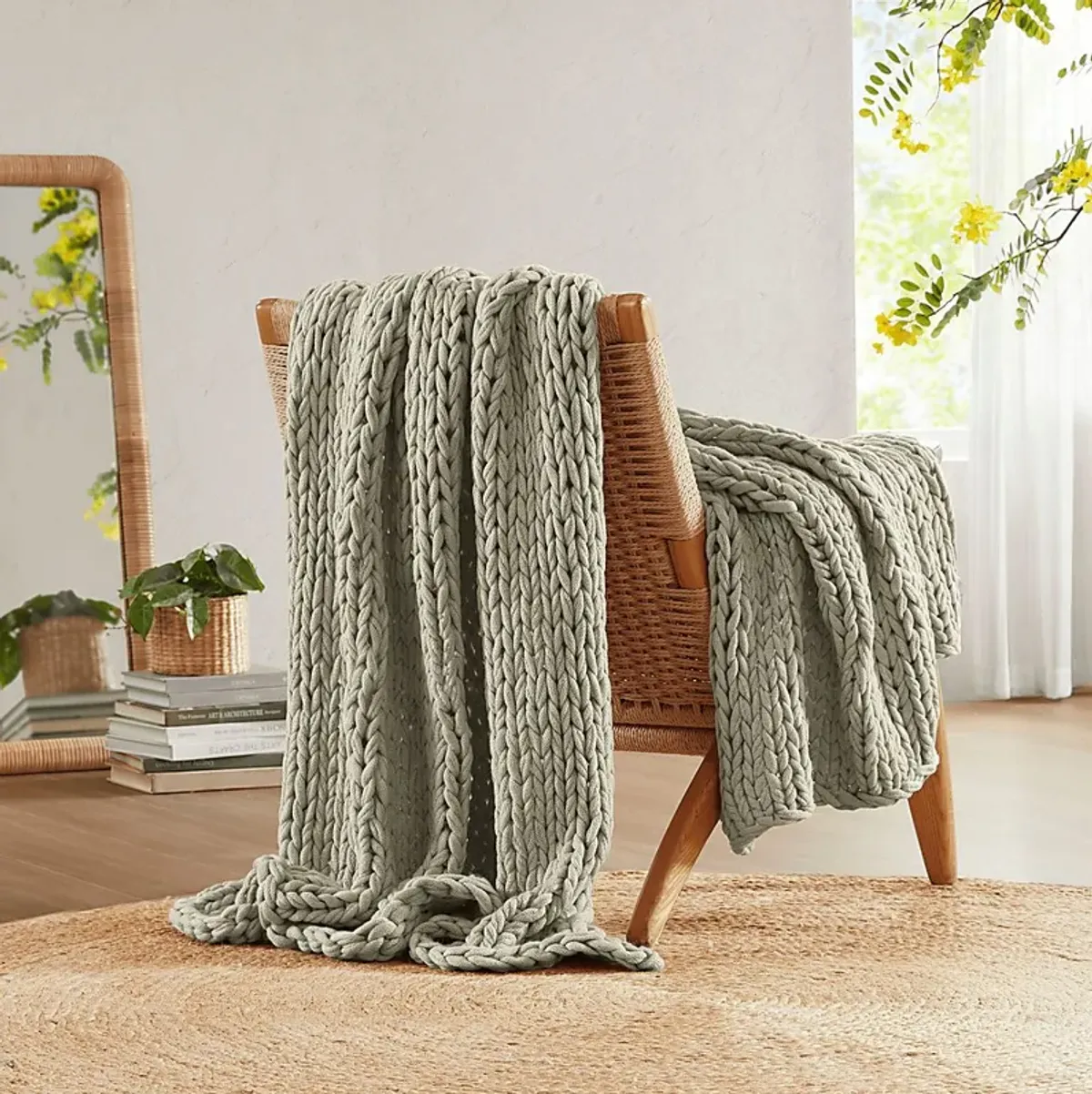 Apenzell Light Gray Throw Blanket