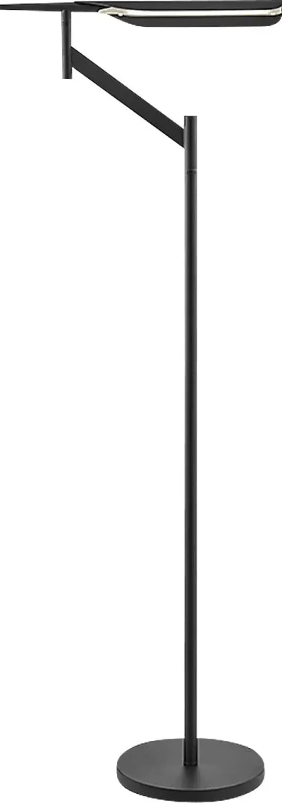 Izara Grove Black Floor Lamp