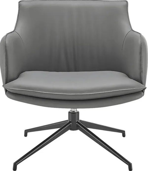 Dipaolo Gray Swivel Accent Chair