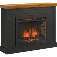 Trisano Black 48in. Console with Electric Fireplace
