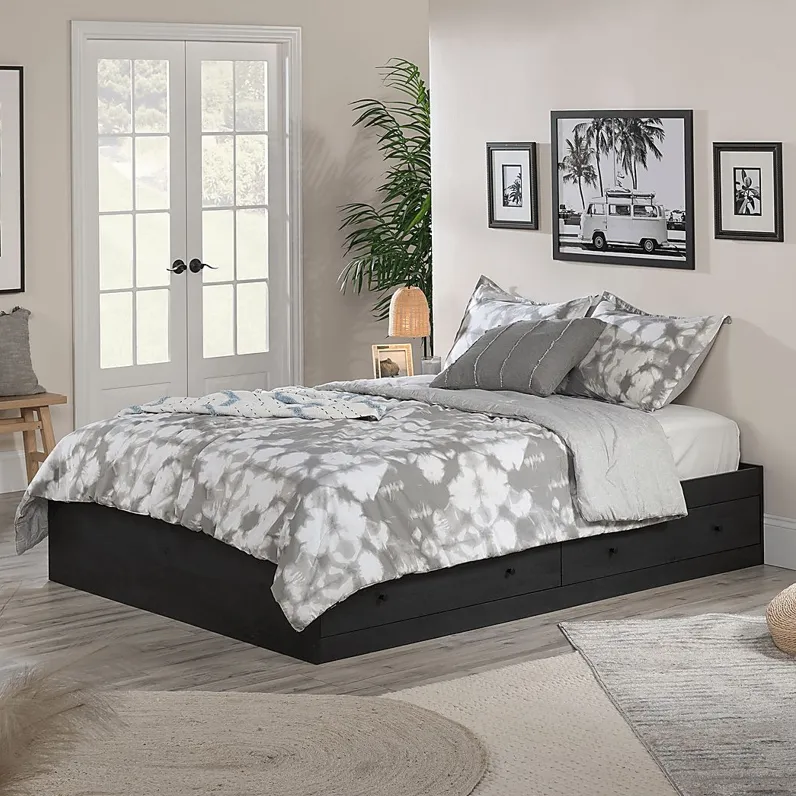 Guinn Black Queen Storage Bed