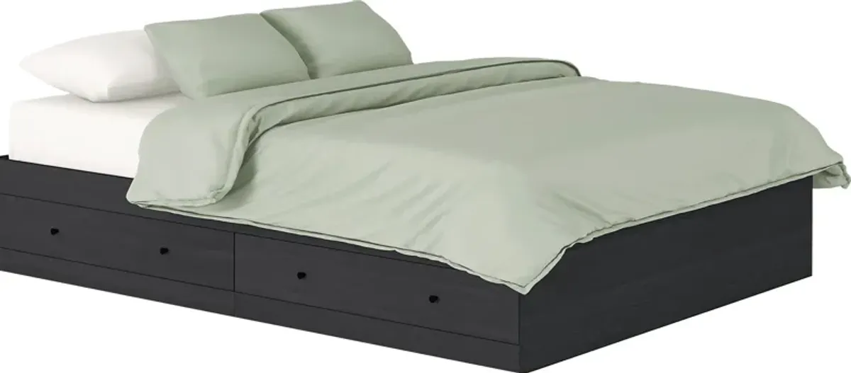 Guinn Black Queen Storage Bed