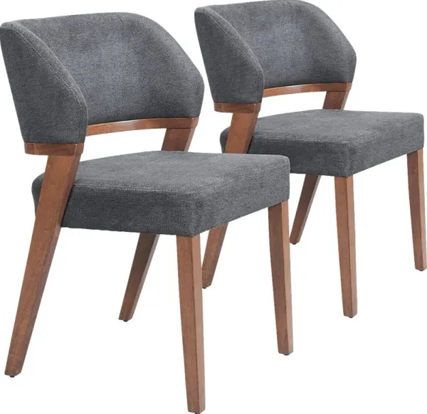 Isaev Gray Side Chair, Set of 2